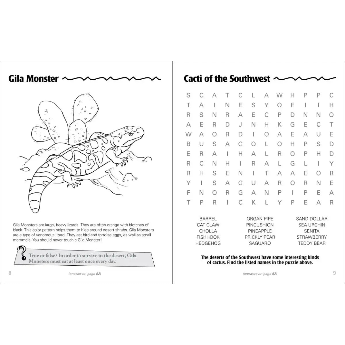 Desert Life of the Southwest Activity Book