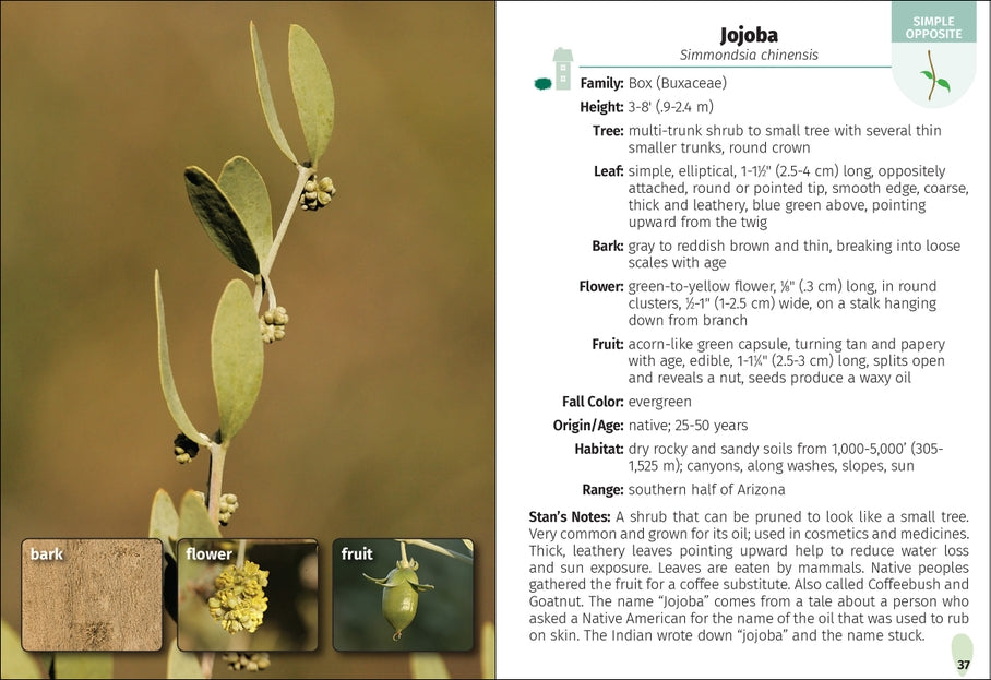 Trees of Arizona Field Guide 2nd Edition