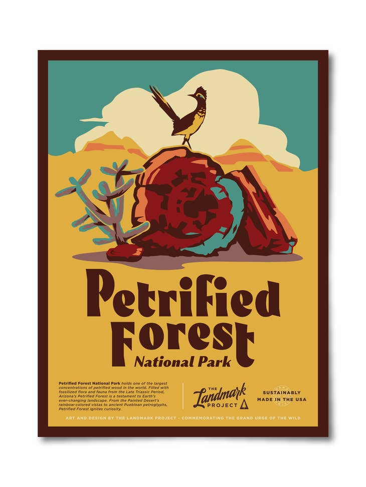 Petrified Forest National Park Poster - 12 x 16