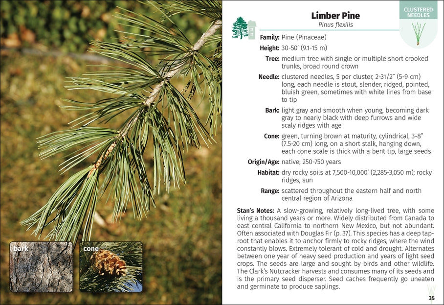 Trees of Arizona Field Guide 2nd Edition