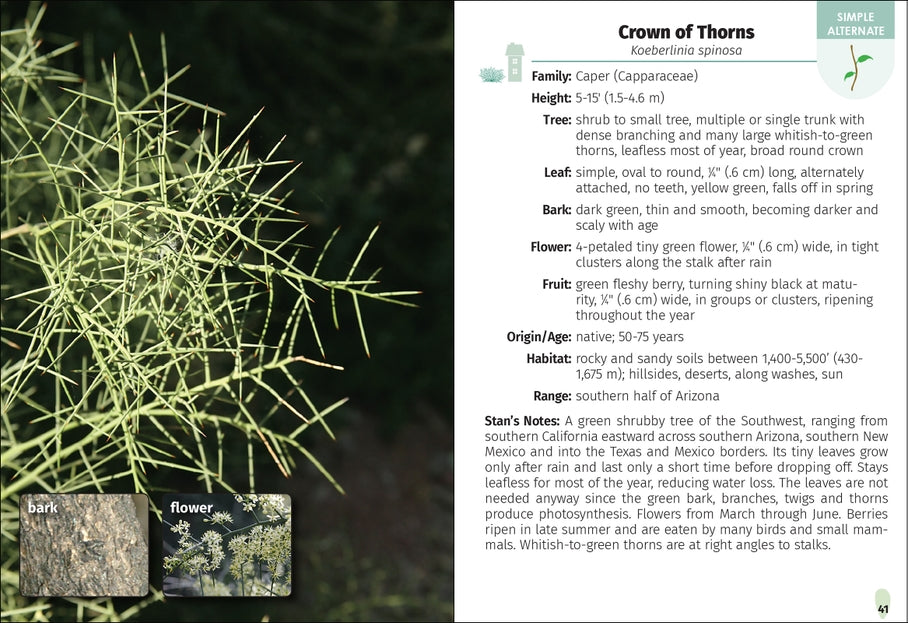 Trees of Arizona Field Guide 2nd Edition