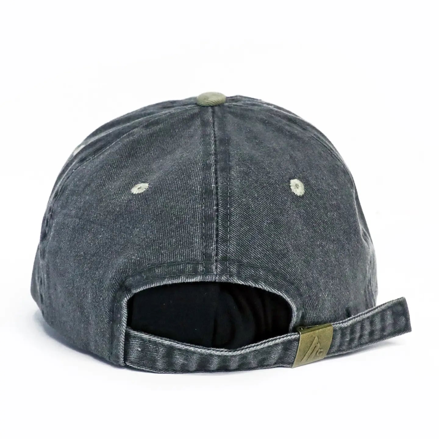 Mind Over Matter Dad Hat