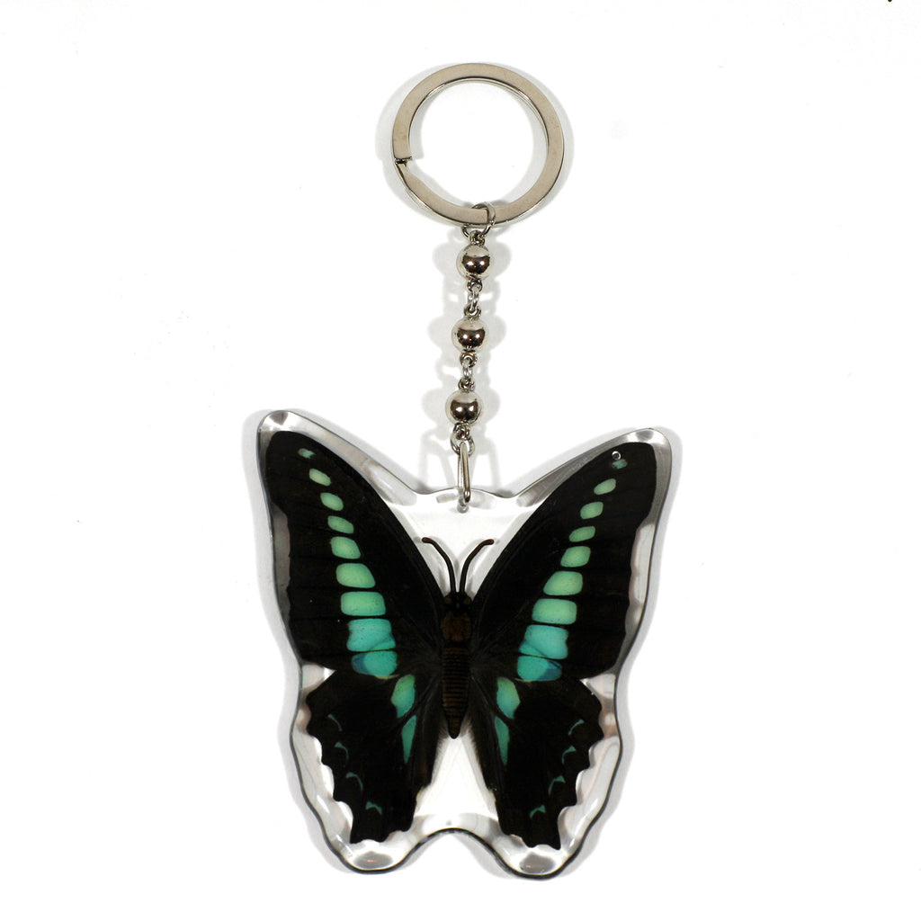 Common Blue Bottle Butterfly Keychain