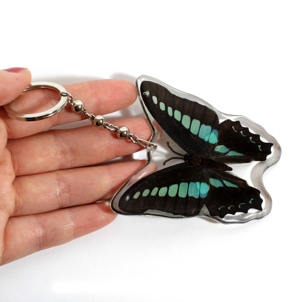 Common Blue Bottle Butterfly Keychain
