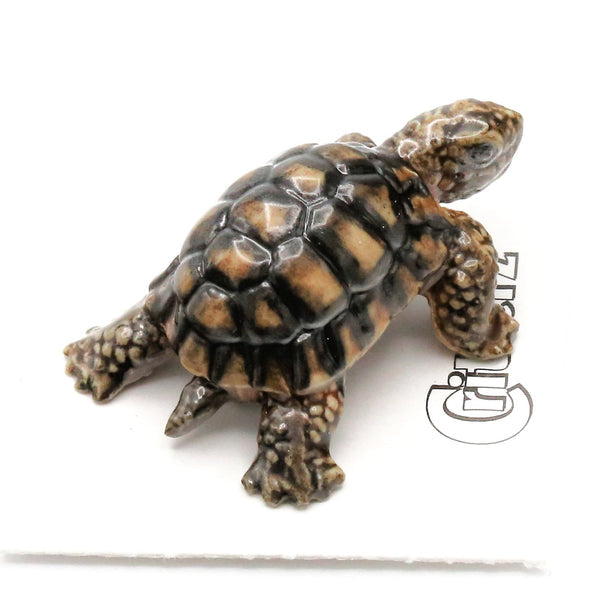 Desert Tortoise Porcelain Miniature