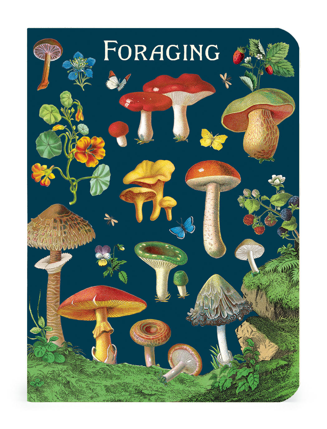 Foraging Vintage Mini Notebooks