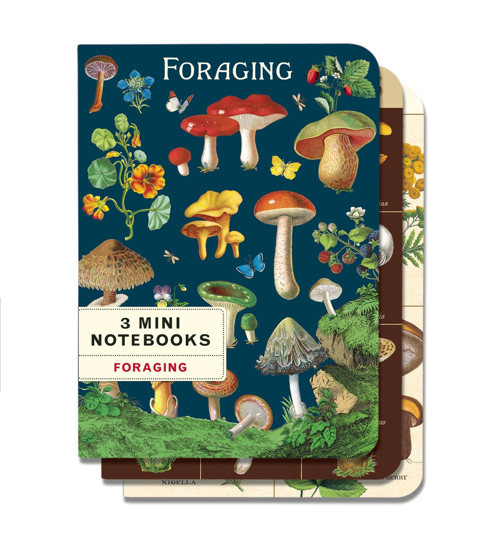 Foraging Vintage Mini Notebooks