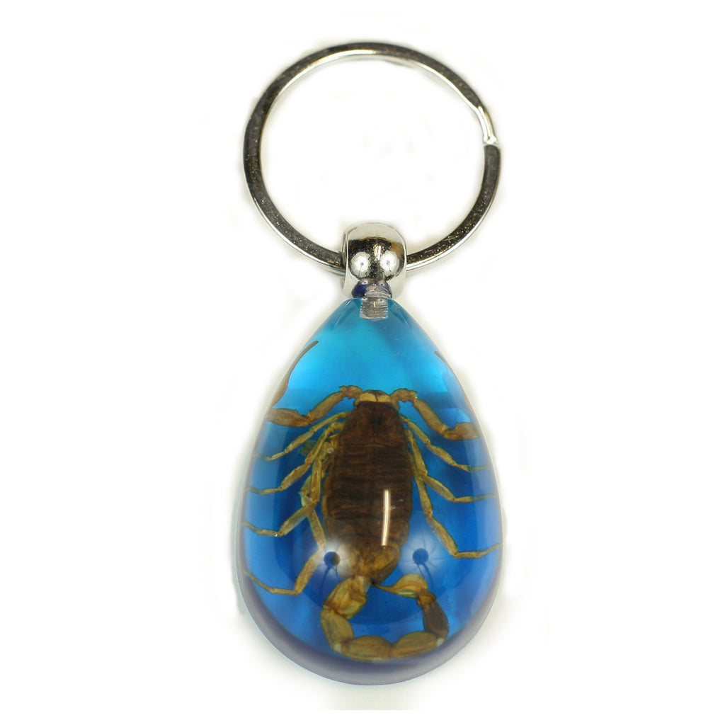 Golden Scorpion Tear Drop Keychain