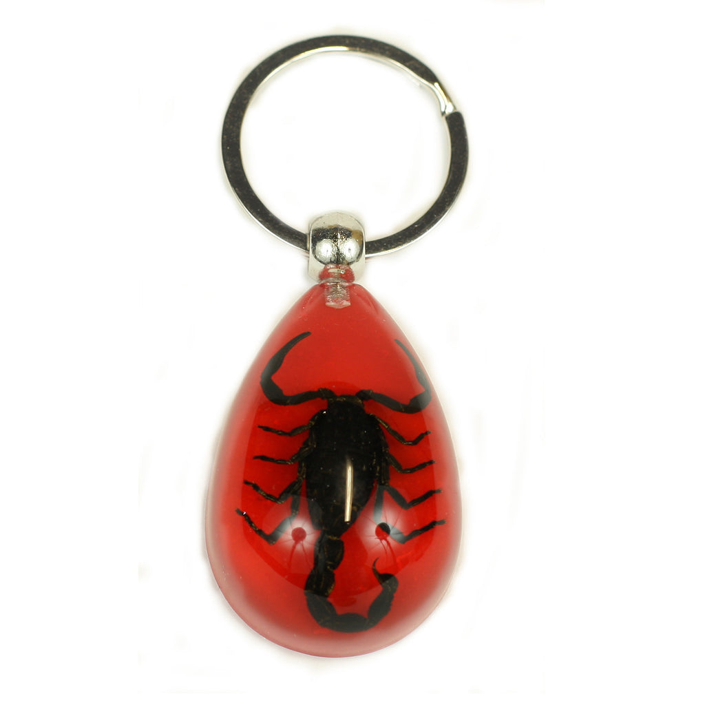 Black Scorpion Tear Drop Keychain