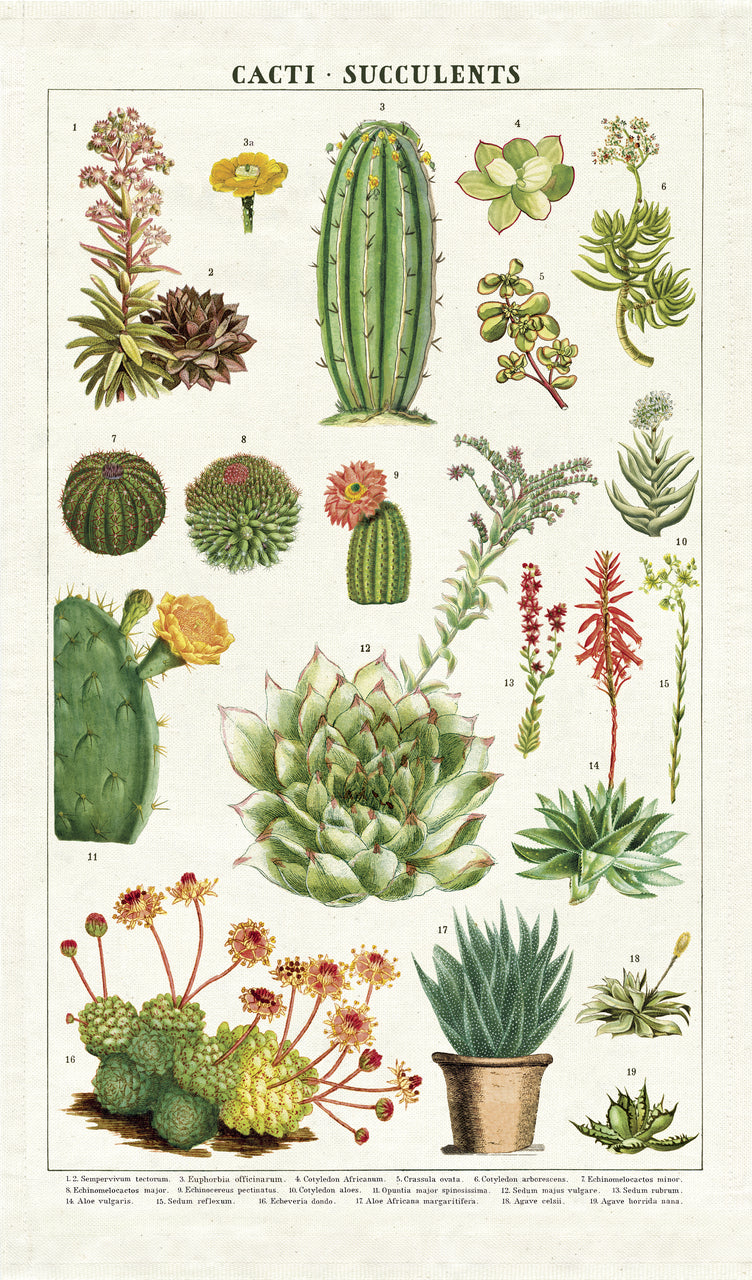 Succulents Vintage Tea Towel