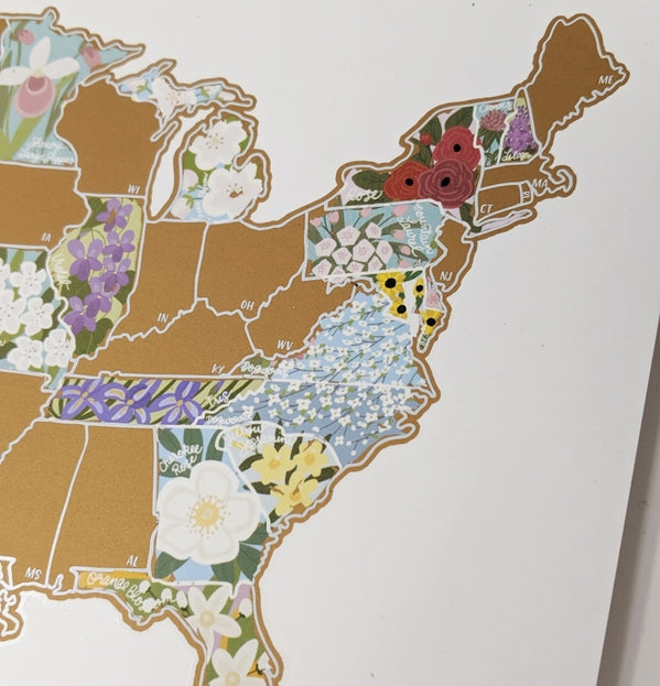 USA State Flowers Scratch-Off 10" x 8" Poster