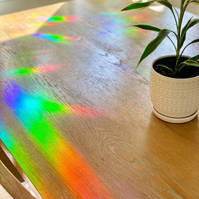 Monstera Suncatcher Iridescent Sticker