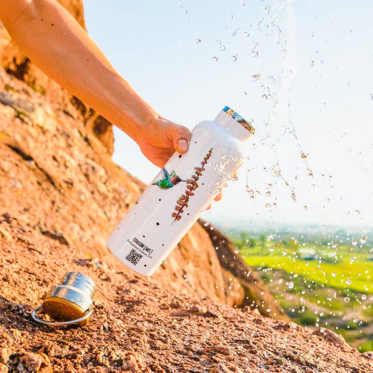 Arizona Hummingbirds Steel Water Bottle