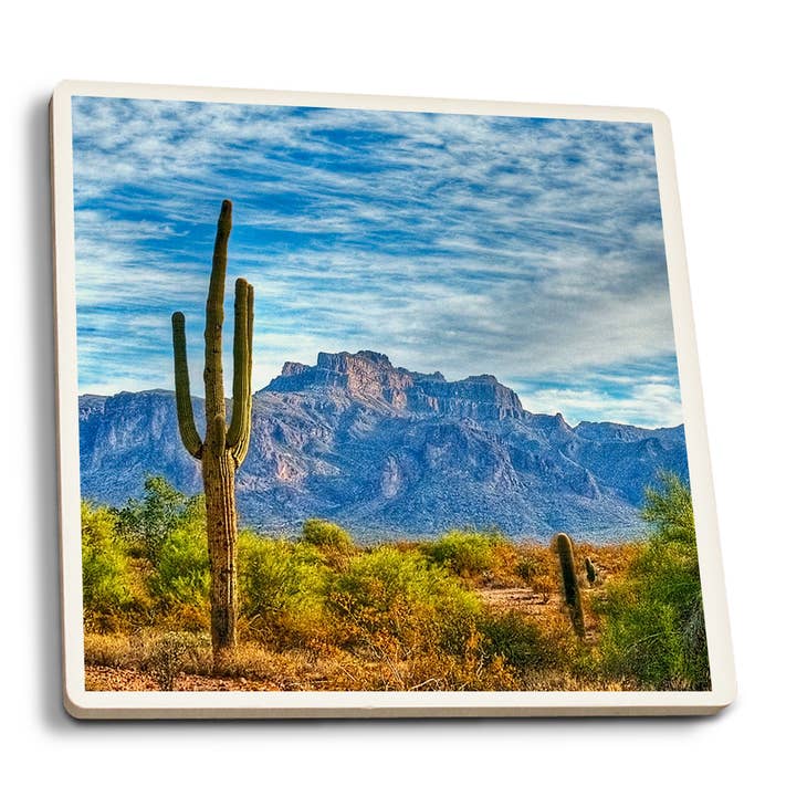 Saguaros and Mountains Coaster