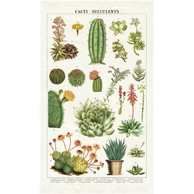 Succulents Vintage Tea Towel