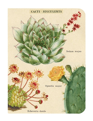 Succulents Vintage Mini Notebooks