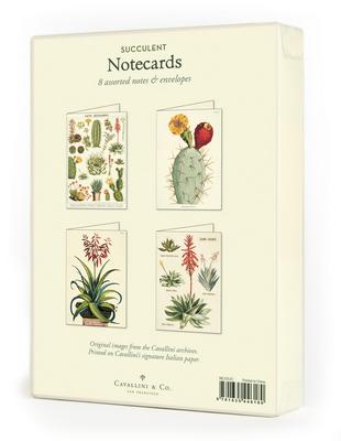 Cacti & Succulents Boxed Notecard Set