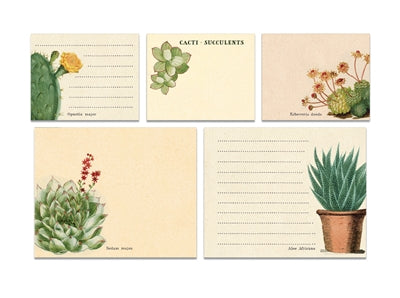 Succulents Sticky Notes