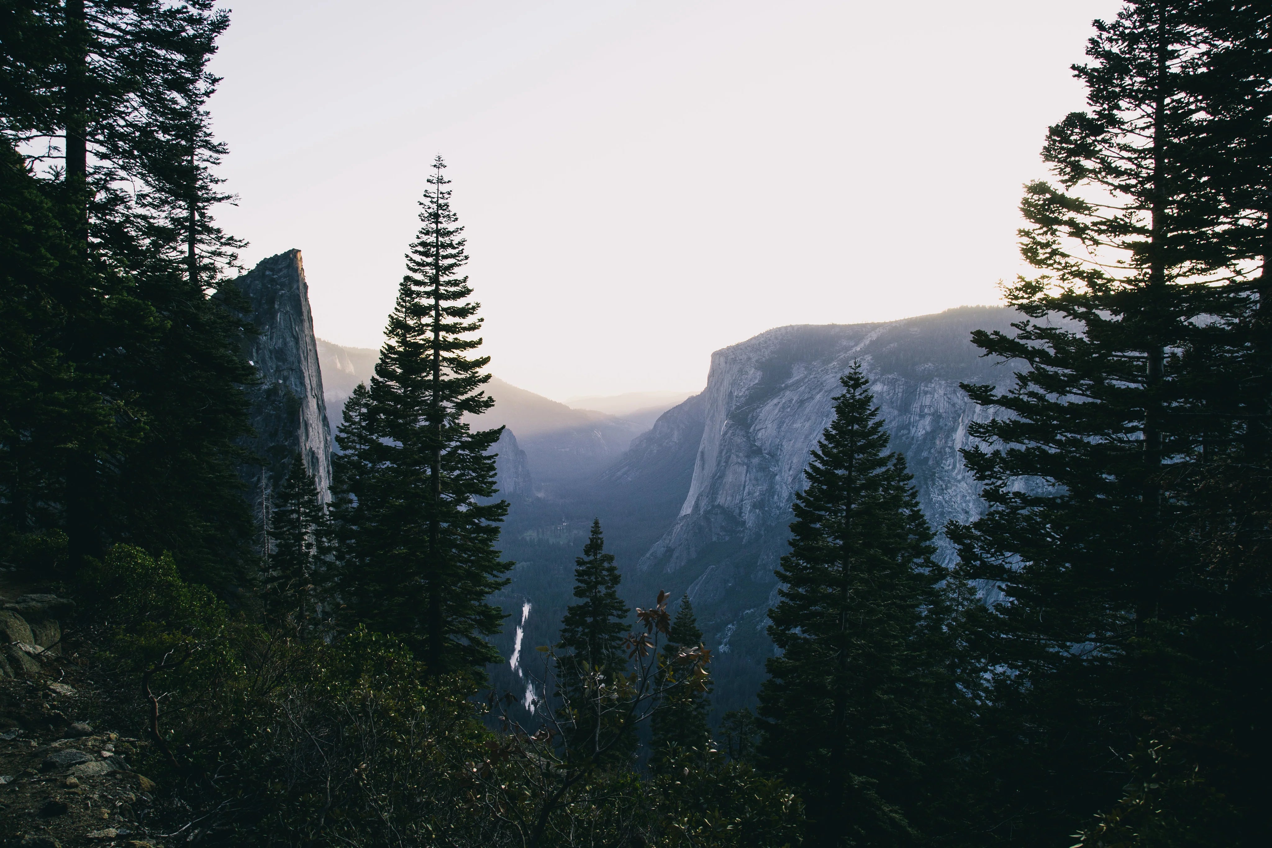 National Park Enthusiasts