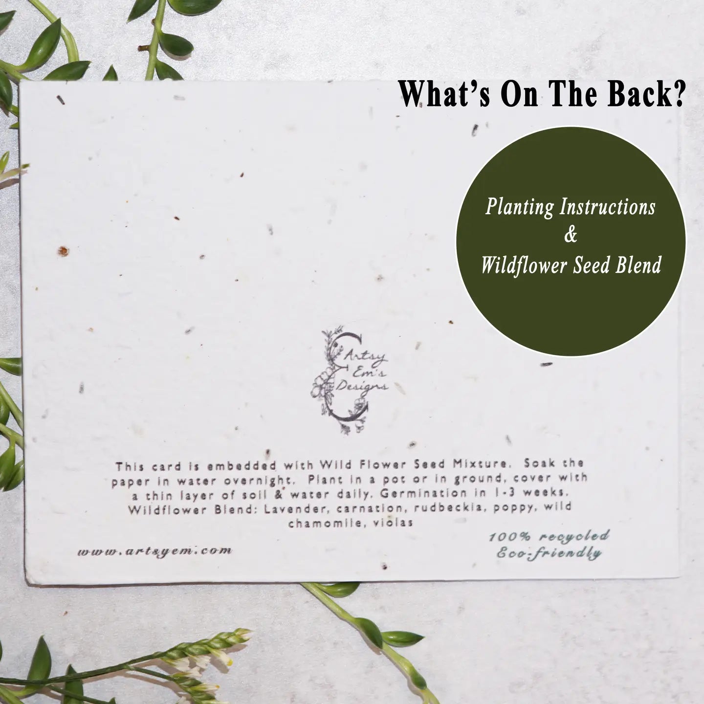 Blooming Desert Wishes Seed Card