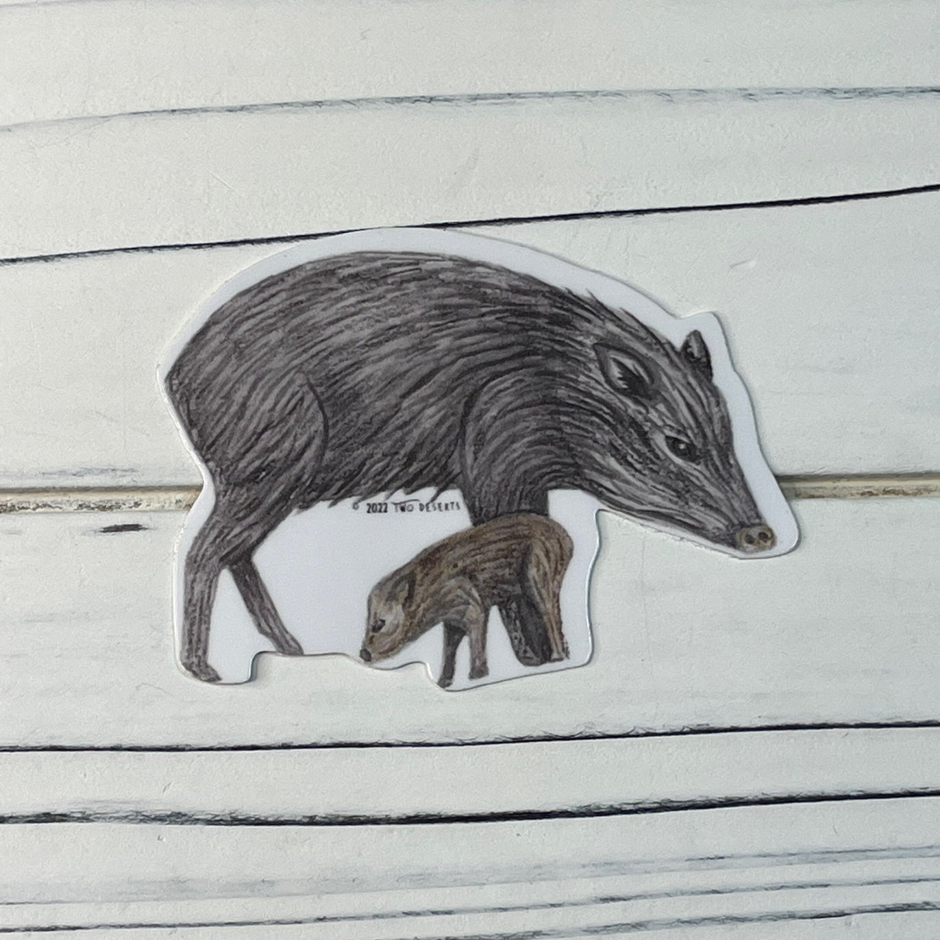Javelina & Baby Sticker