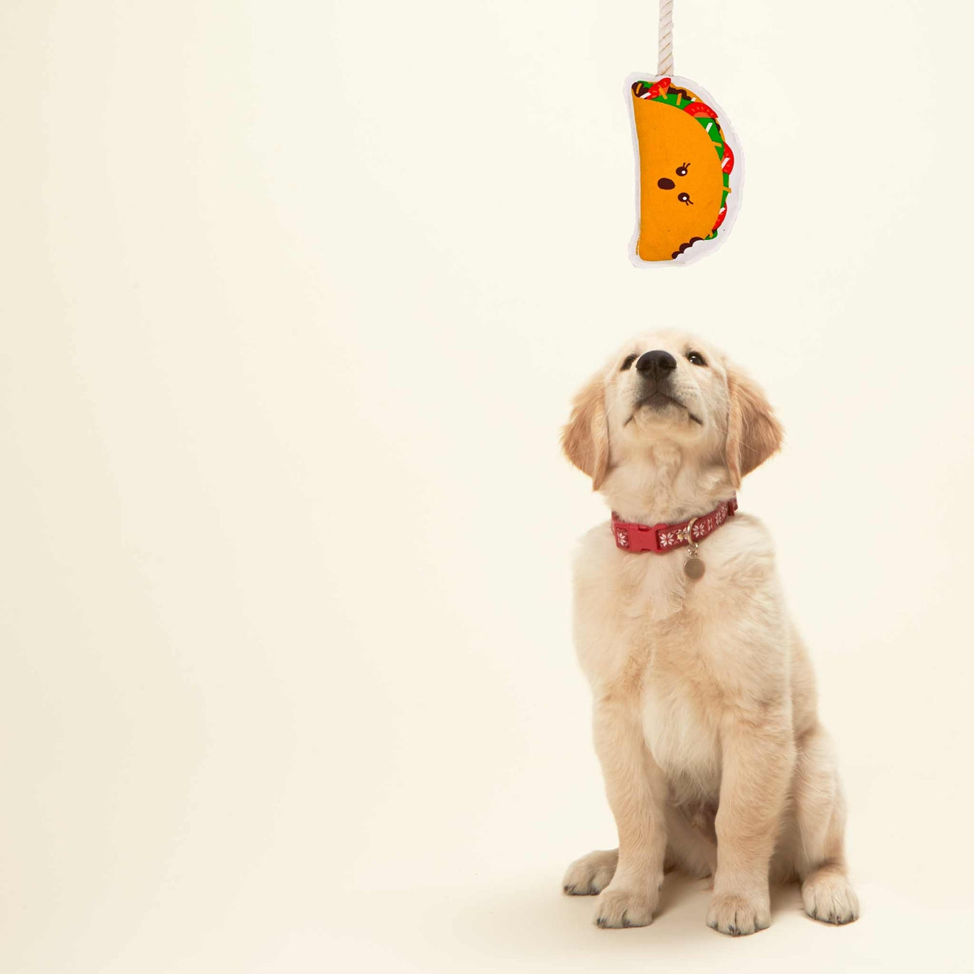 Taco Rope Dog Toy