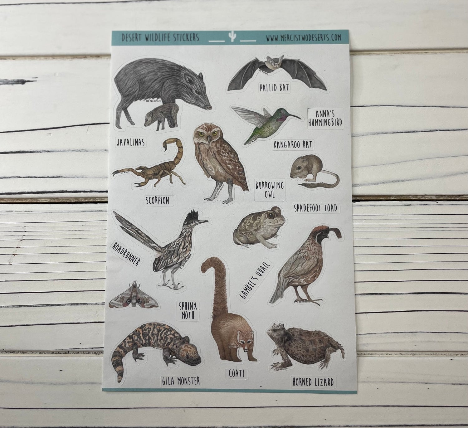 AZ Animal Sticker Sheet