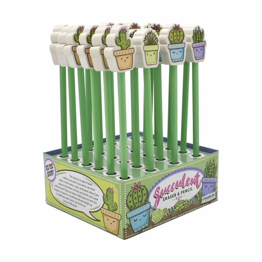 Succulent Cactus Eraser & Pencil Duo
