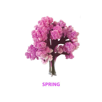 Four Seasons Crystal Growing Kit