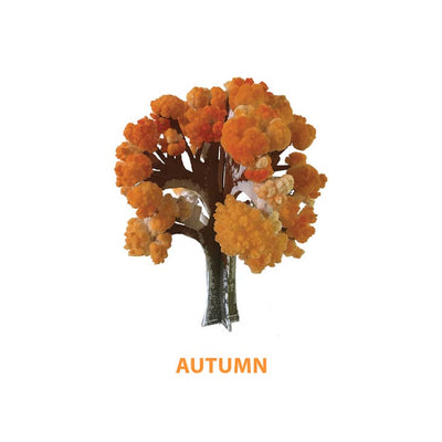 Four Seasons Crystal Growing Kit
