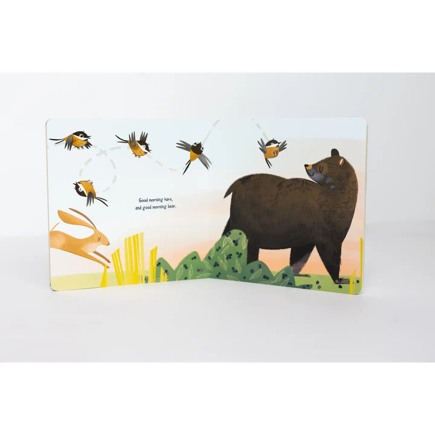 Good Morning Mother Nature Board Book