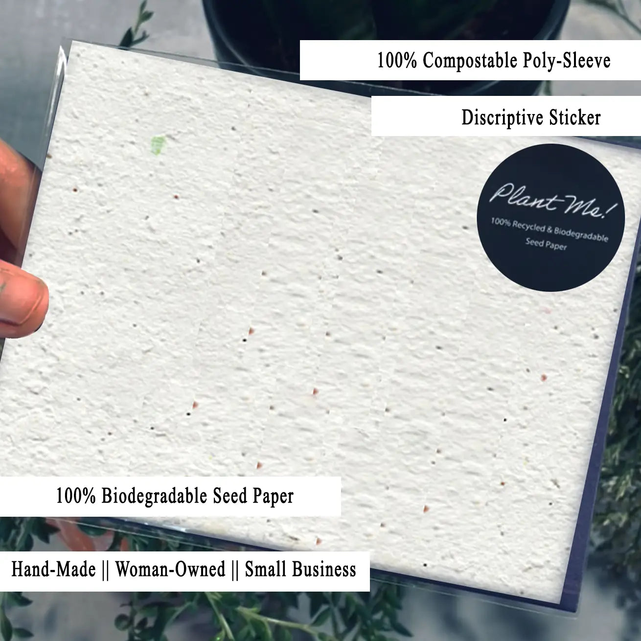 Blooming Desert Wishes Seed Card