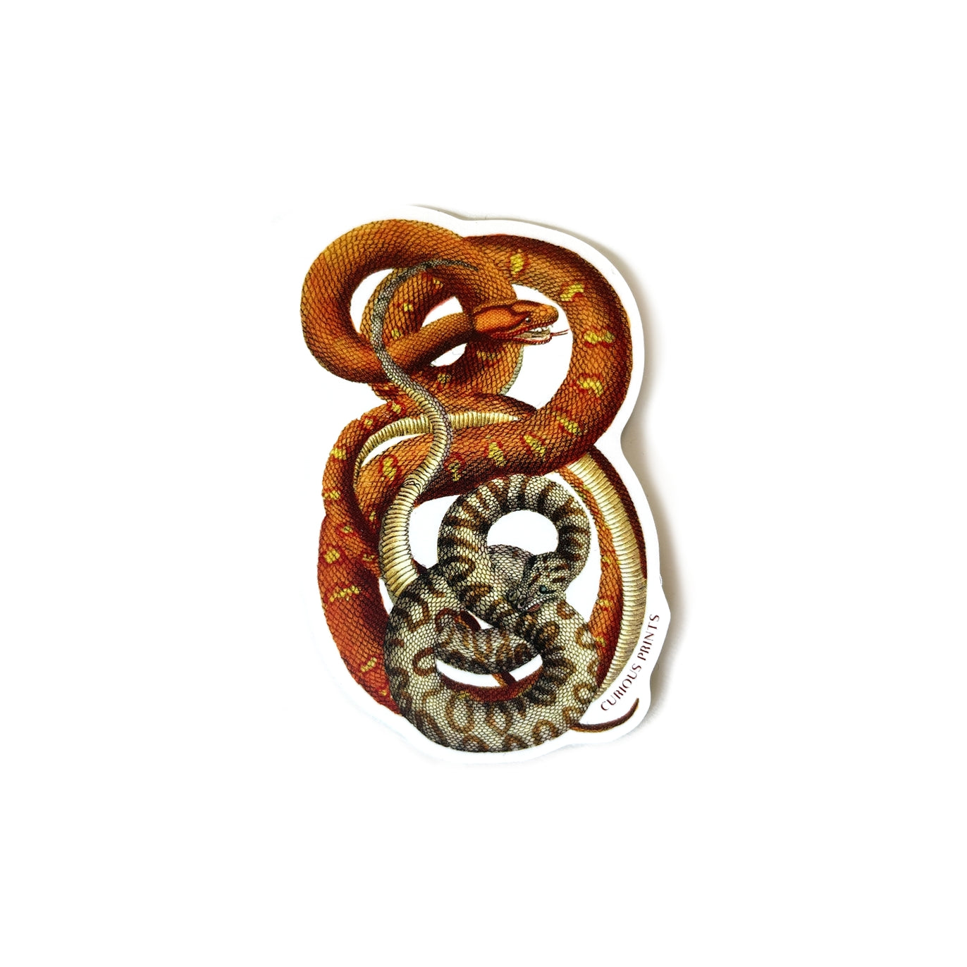 Vintage Snakes Sticker