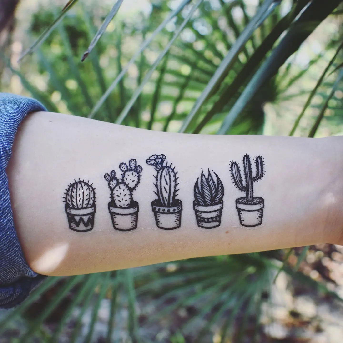 Potted Cacti Temporary Tattoo Sheet