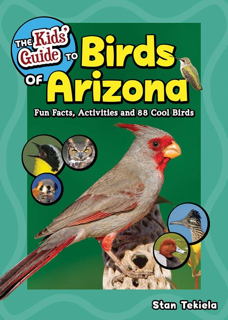 Kids' Guide to Birds of Arizona