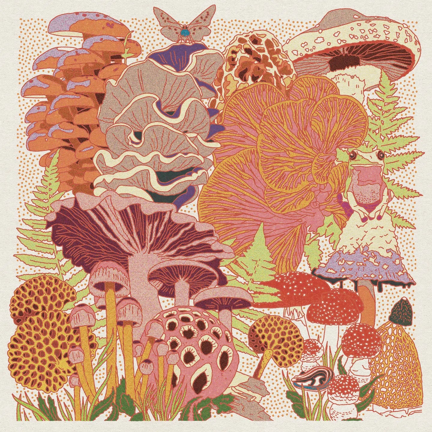 Mushroom Planet - 12 x 12 Print