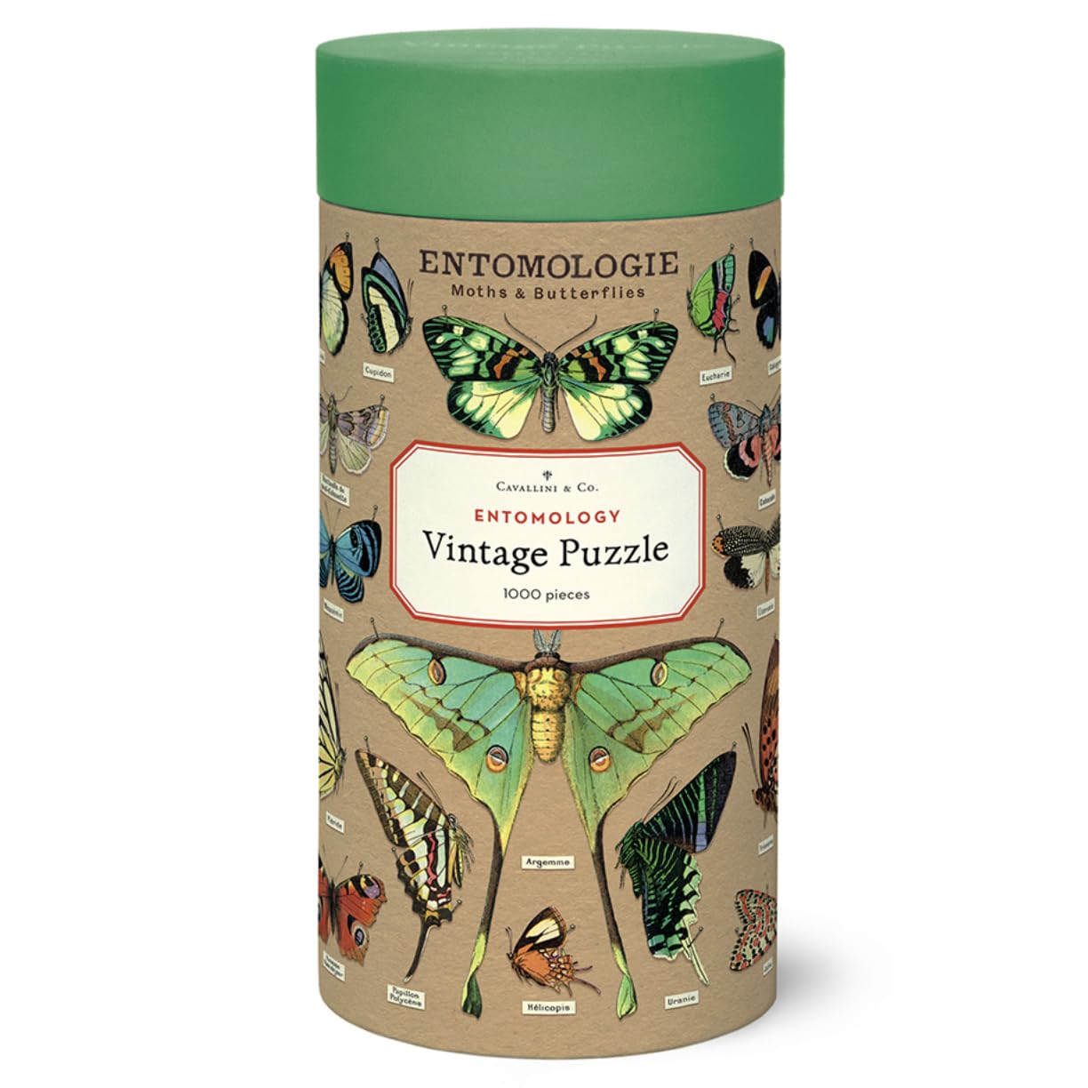 Entomology Vintage Puzzle