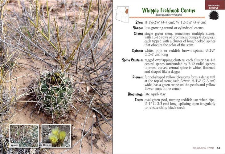 Cacti of Arizona Field Guide