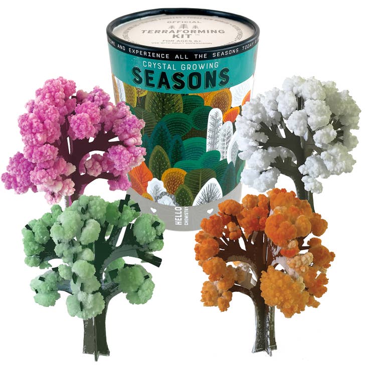 Four Seasons Crystal Growing Kit