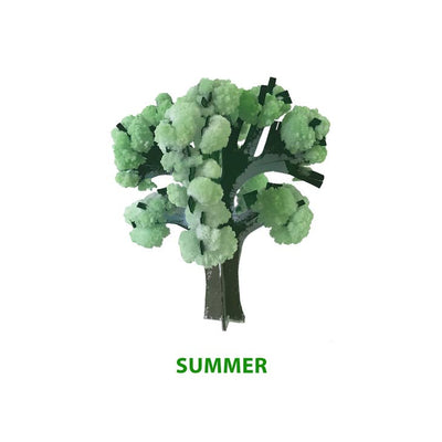 Four Seasons Crystal Growing Kit