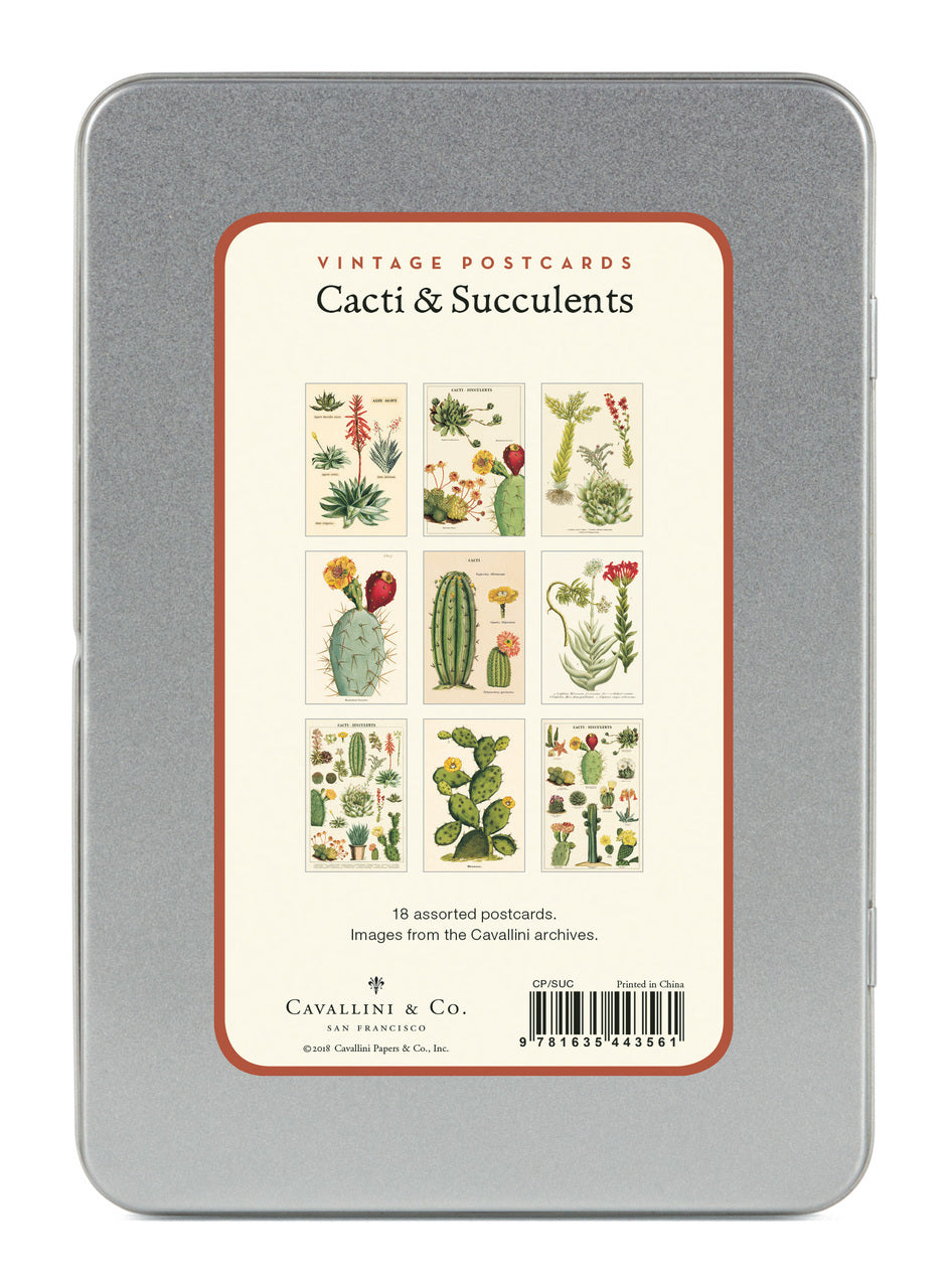 Cacti & Succulents Vintage Postcards