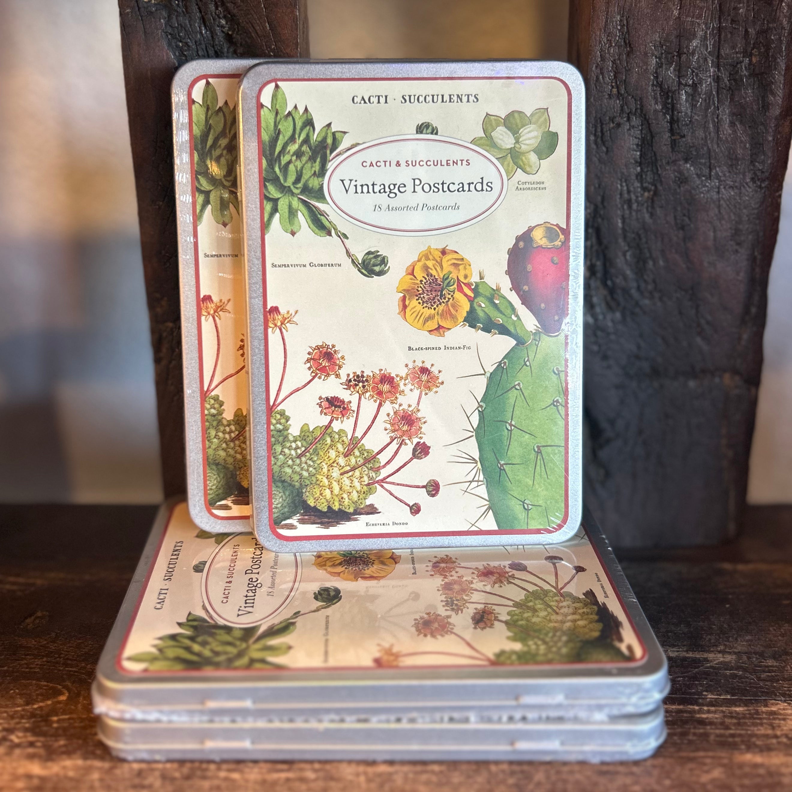 Cacti & Succulents Vintage Postcards