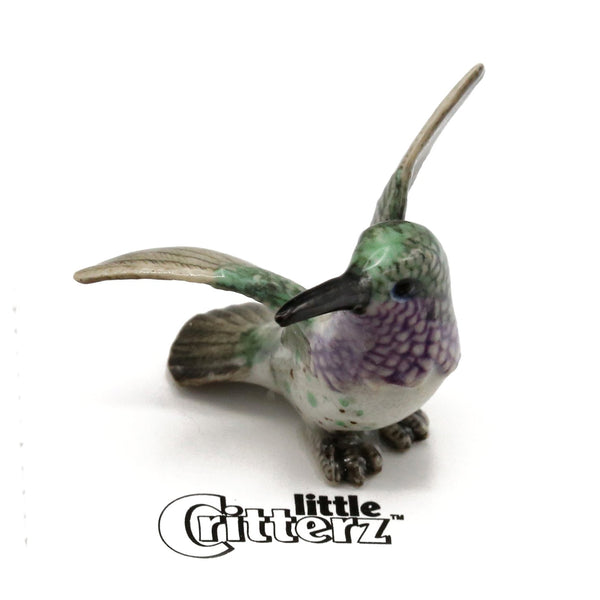 Lucifer Hummingbird Porcelain Miniature