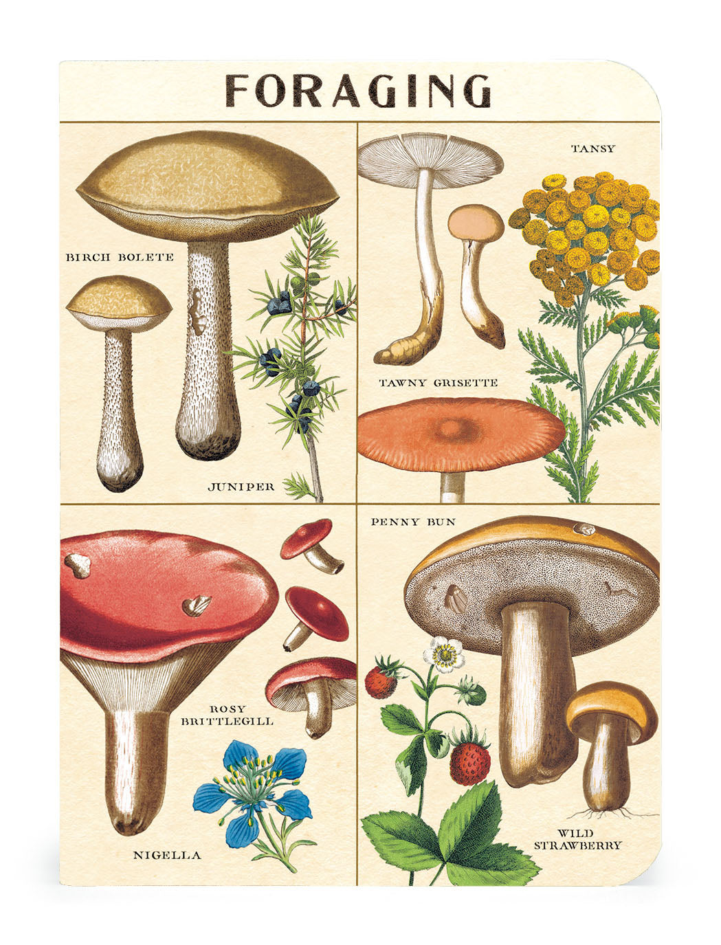 Foraging Vintage Mini Notebooks