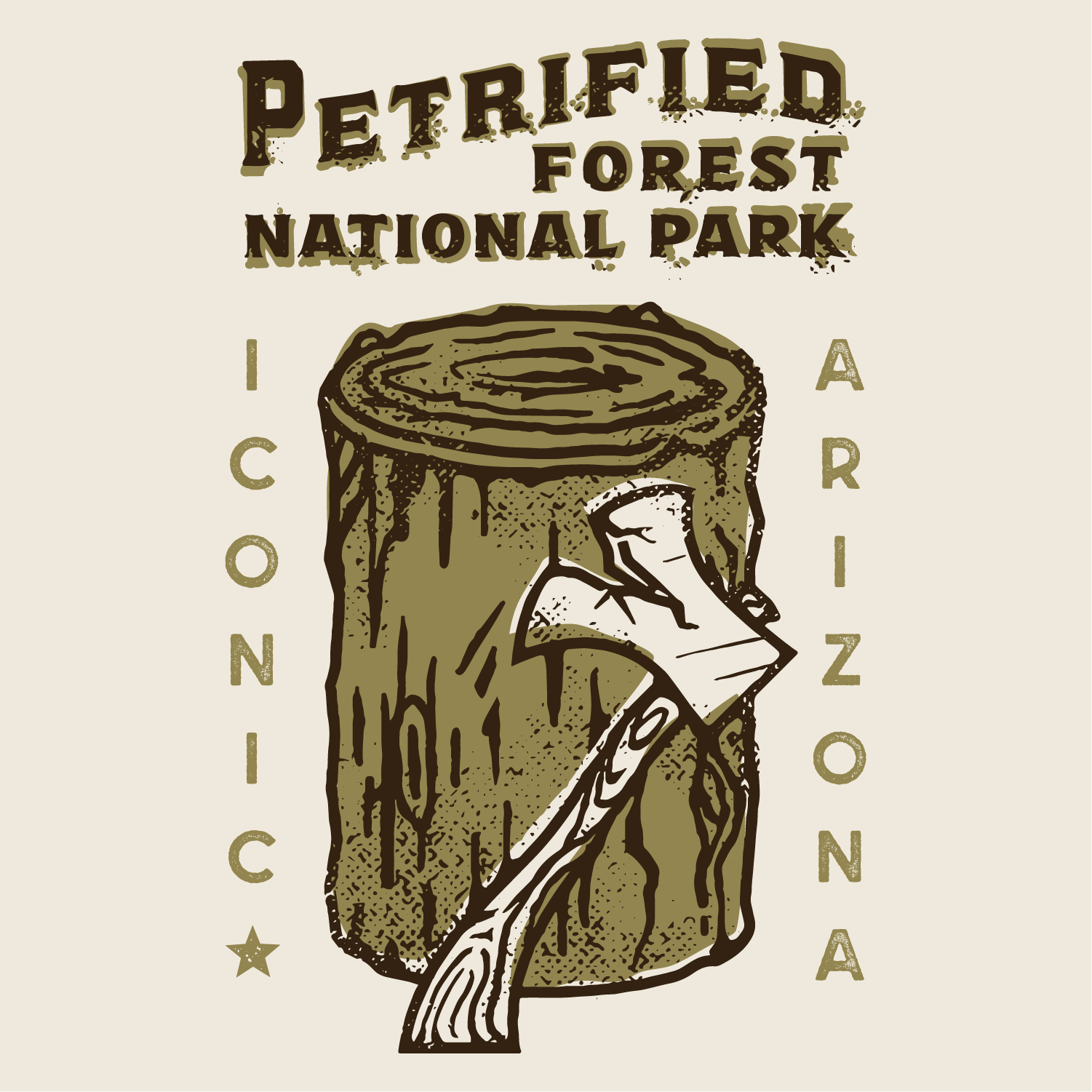 Petrified Forest National Park Tee