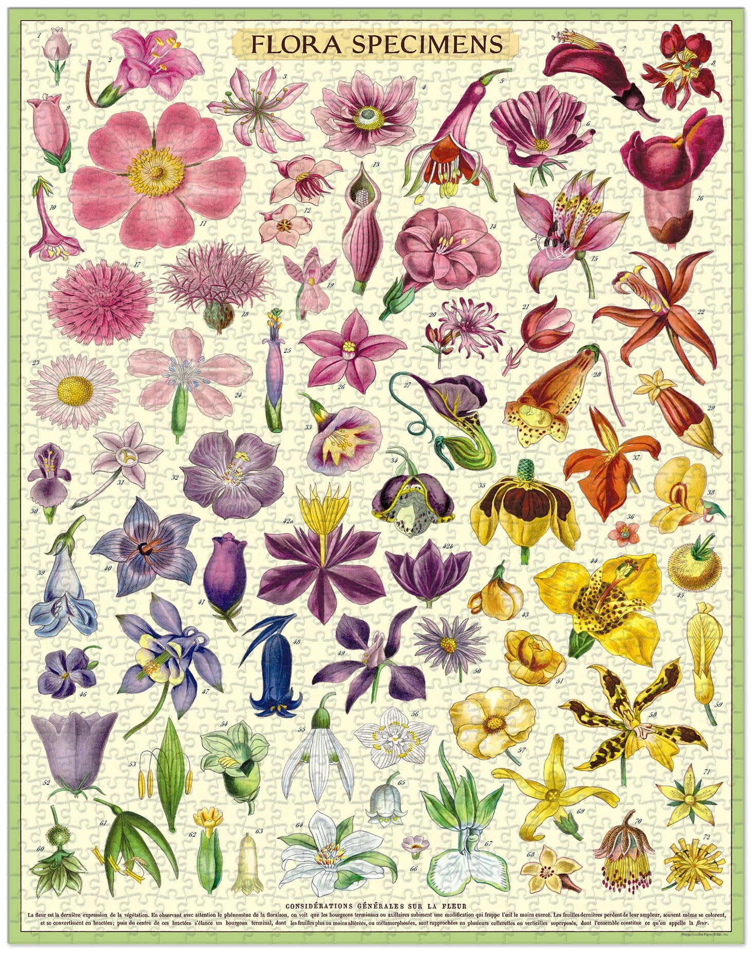 Flora Vintage Puzzle