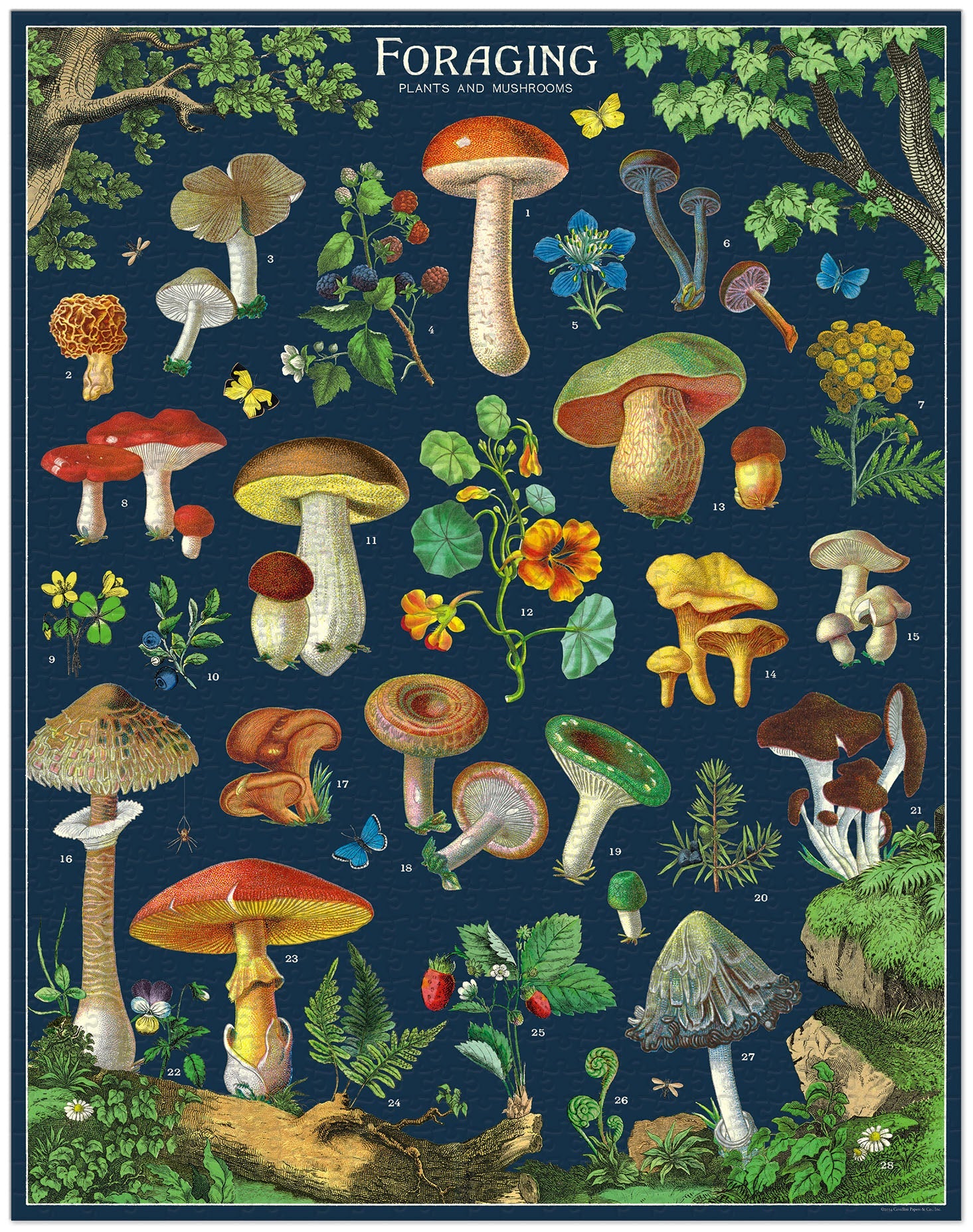 Foraging Mushroom Vintage Puzzle