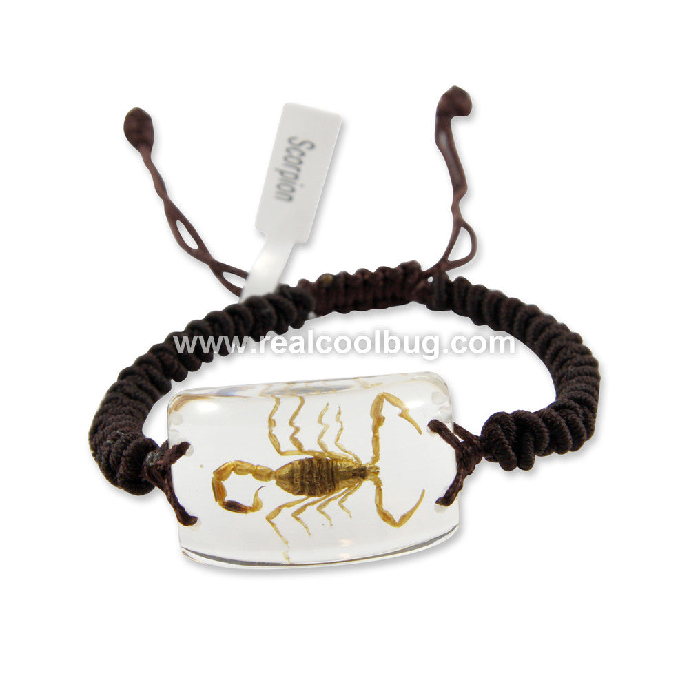 Golden Scorpion Bracelet