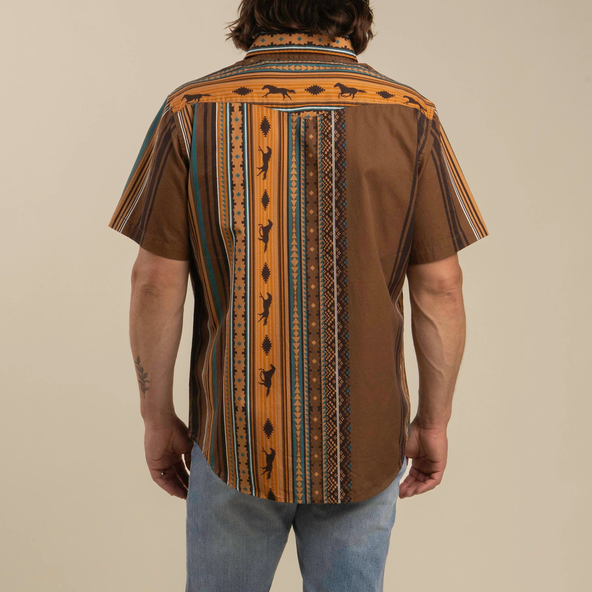 Serape Pearl Snap Button Up - Western Stripe