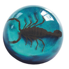 Black Scorpion Small Dome Paper Weight